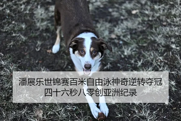 潘展乐世锦赛百米自由泳神奇逆转夺冠 四十六秒八零创亚洲纪录
